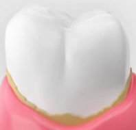 A Photo 5.15.2025 Scuzz PhotoIMG_6362